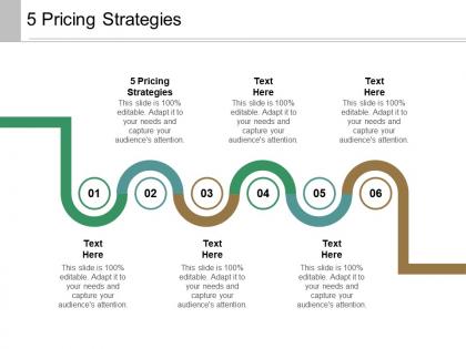 5 pricing strategies ppt powerpoint presentation infographics outfit cpb