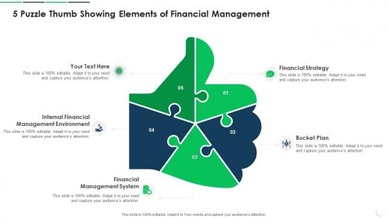 5 Puzzle Thumb Showing Elements Of Financial Management