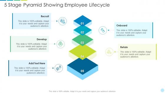 5 stage pyramid showing employee lifecycle