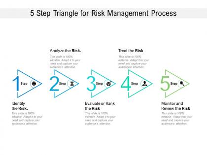 5 step triangle for risk management process