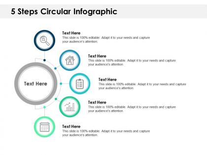 5 steps circular infographic