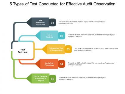 5 types of test conducted for effective audit observation