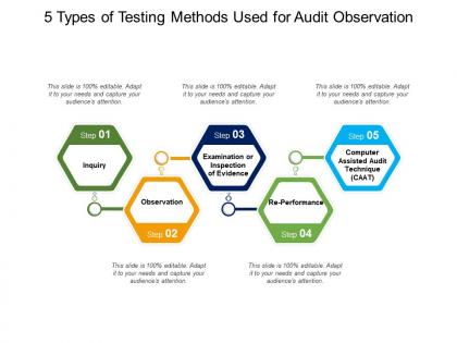 5 types of testing methods used for audit observation
