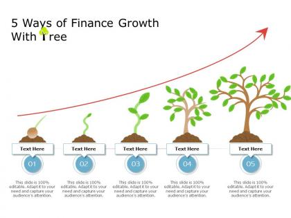 5 ways of finance growth with tree