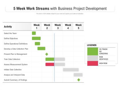 5 week work streams with business project development