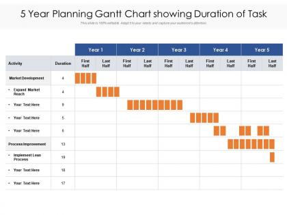 5 year planning gantt chart showing duration of task