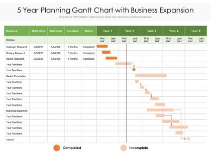 5 year planning gantt chart with business expansion