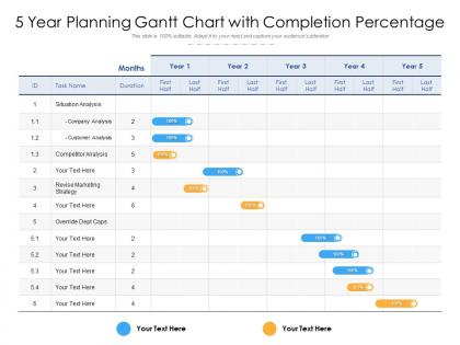 5 year planning gantt chart with completion percentage