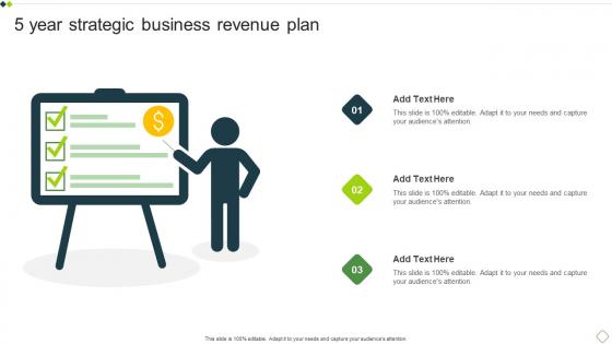5 Year Strategic Business Revenue Plan