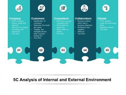5c analysis of internal and external environment