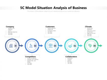 5c model situation analysis of business