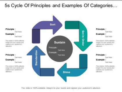 5s cycle of principles and examples of categories sort shine standardize and set