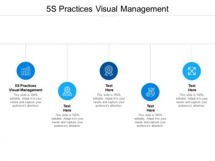 5s practices visual management ppt powerpoint presentation slides templates cpb