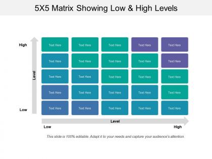 5x5 matrix showing low and high levels