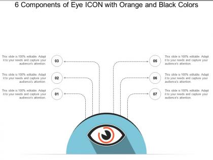 6 components of eye icon with orange and black colors