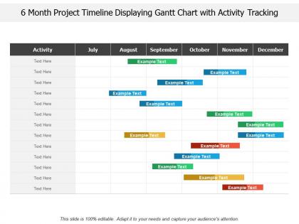 6 month project timeline displaying gantt chart with activity tracking