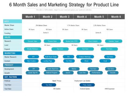 6 month sales and marketing strategy for product line