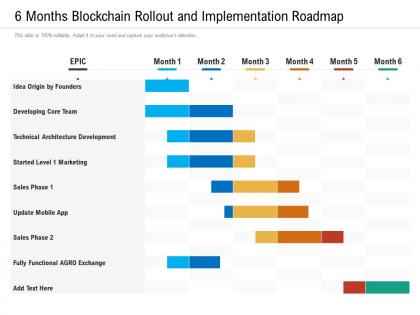 6 months blockchain rollout and implementation roadmap