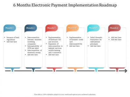 6 months electronic payment implementation roadmap