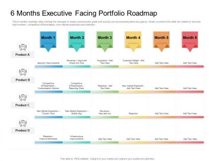 6 months executive facing portfolio roadmap timeline powerpoint template