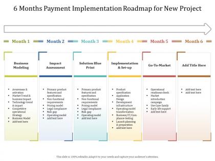 6 months payment implementation roadmap for new project