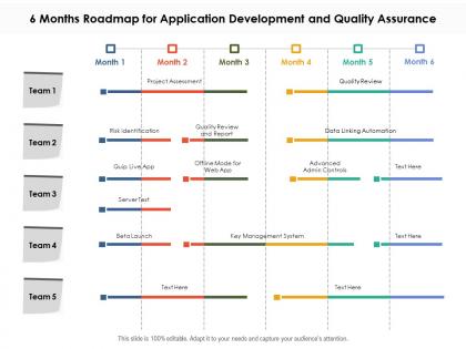 6 months roadmap for application development and quality assurance