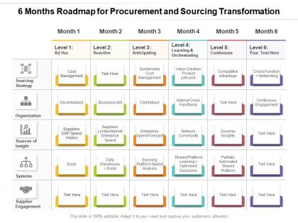 6 months roadmap for procurement and sourcing transformation