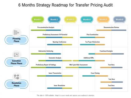 6 months strategy roadmap for transfer pricing audit