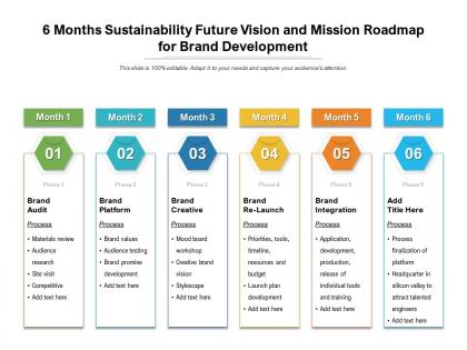 6 months sustainability future vision and mission roadmap for brand development