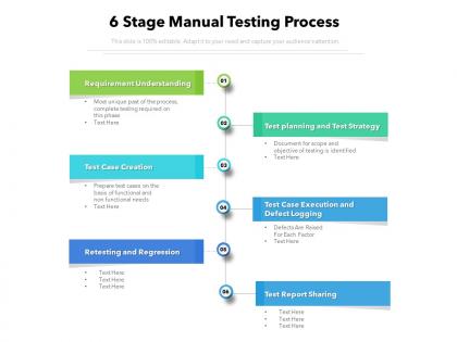 6 stage manual testing process