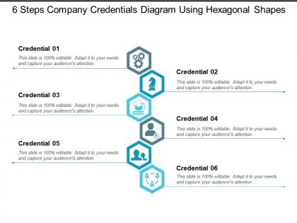 6 steps company credentials diagram using hexagonal shapes