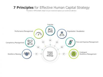 7 principles for effective human capital strategy