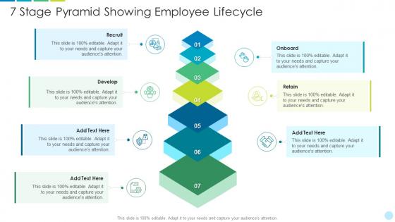7 stage pyramid showing employee lifecycle