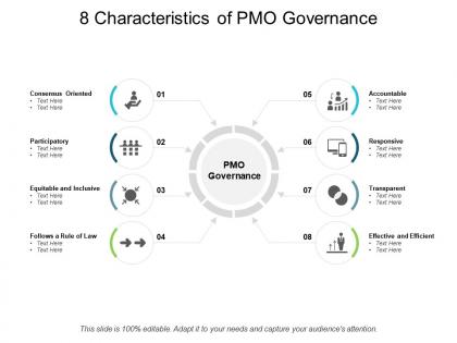 8 characteristics of pmo governance