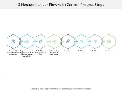8 hexagon linear flow with control process steps
