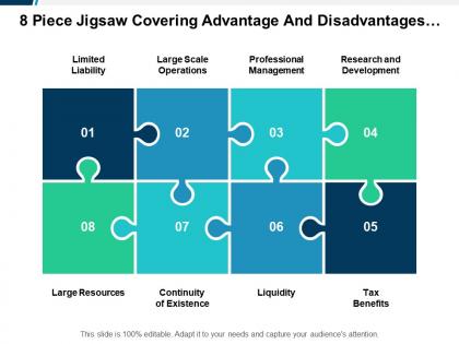 8 piece jigsaw covering advantage and disadvantages of joint stock company