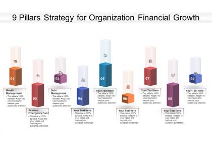 9 pillars strategy for organization financial growth