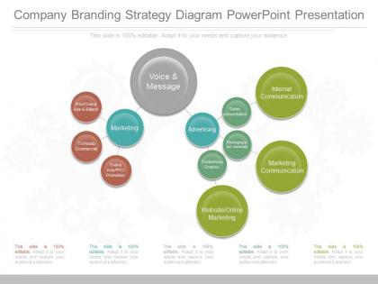 A company branding strategy diagram powerpoint presentation
