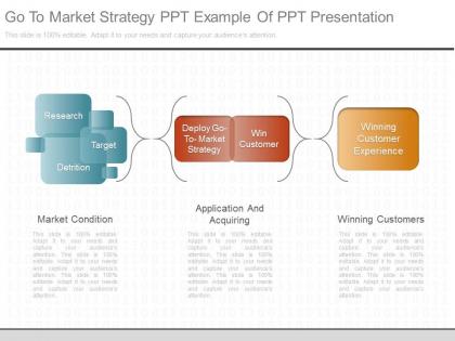 A go to market strategy ppt example of ppt presentation