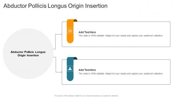 Abductor Pollicis Longus Origin Insertion In Powerpoint And Google Slides Cpb