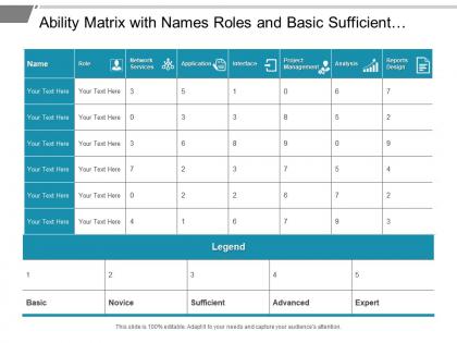 Ability matrix with names roles and basic sufficient expert skills