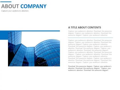 About Company Detail Introduction PowerPoint Slides