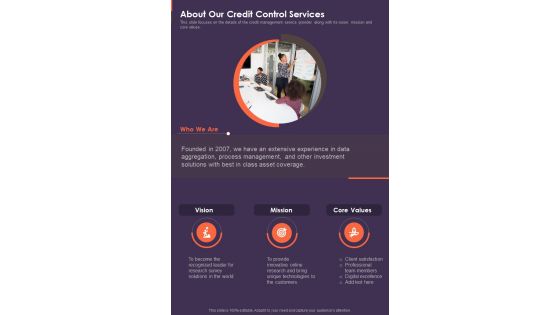 About Our Credit Control Services One Pager Sample Example Document