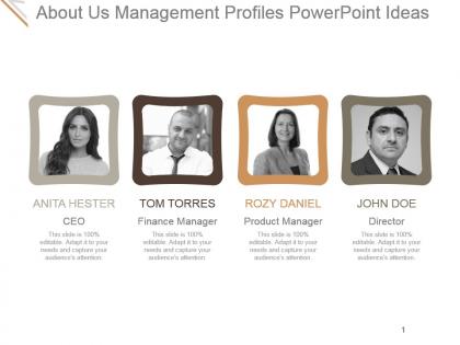 About us management profiles powerpoint ideas