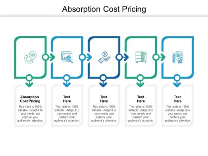 Absorption cost pricing ppt powerpoint presentation gallery show cpb