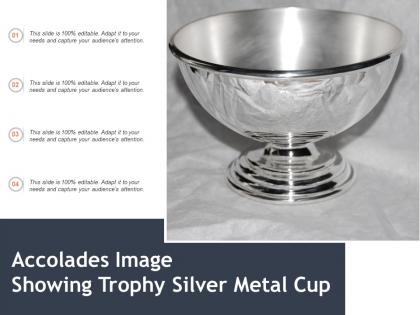 Accolades image showing trophy silver metal cup