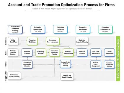 Account and trade promotion optimization process for firms
