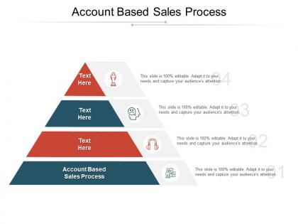 Account based sales process ppt powerpoint presentation file graphics template cpb