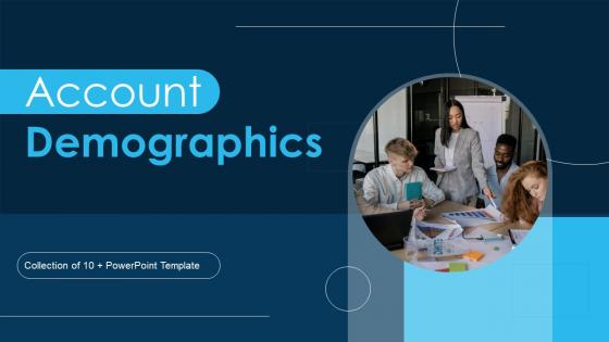 Account Demographics Powerpoint Ppt Template Bundles