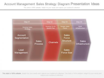 Account management sales strategy diagram presentation ideas